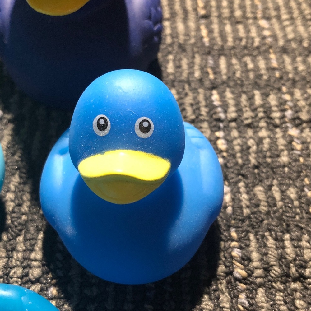 💐 Set of Blue Rubber Ducks - Picture 8 of 9
